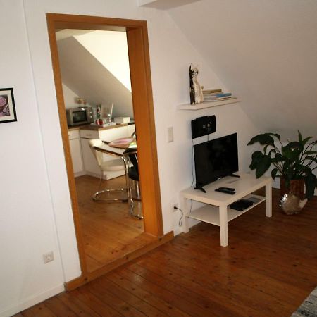 Ferienwohnung Klatschmohn Speyer Kültér fotó