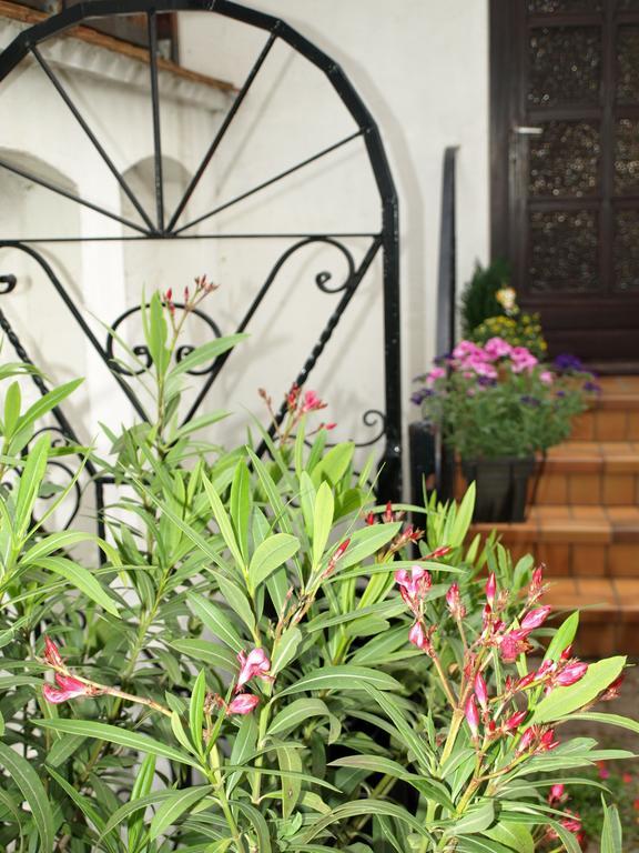 Ferienwohnung Klatschmohn Speyer Kültér fotó