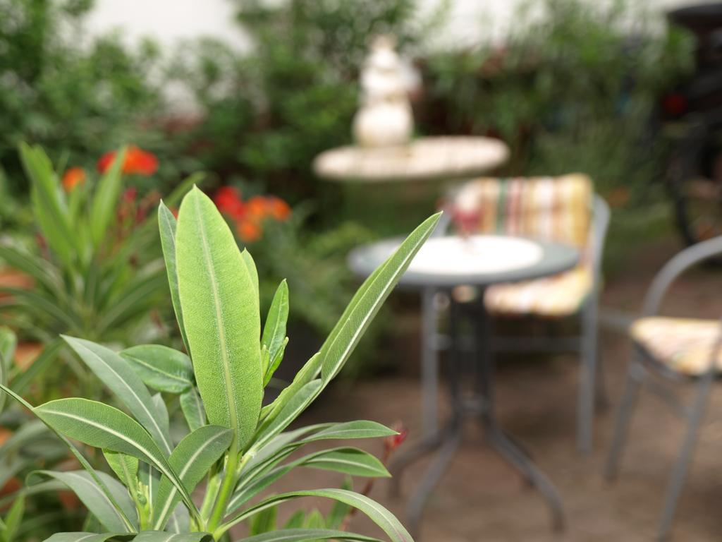 Ferienwohnung Klatschmohn Speyer Kültér fotó